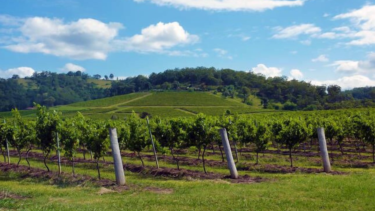 Photo of Others in Aberdare