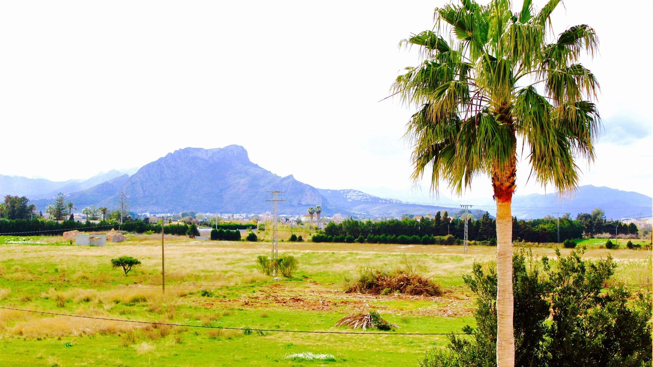 Photo of Outdoor in Denia