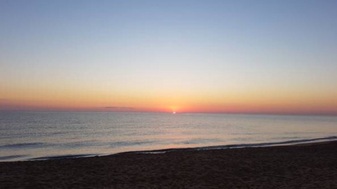 Photo of Others in Denia