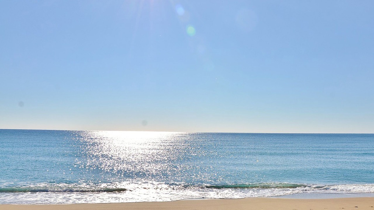 Photo of Others in Denia