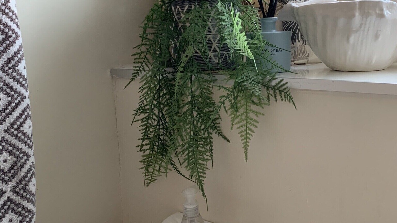 Photo of Others in New Forest District