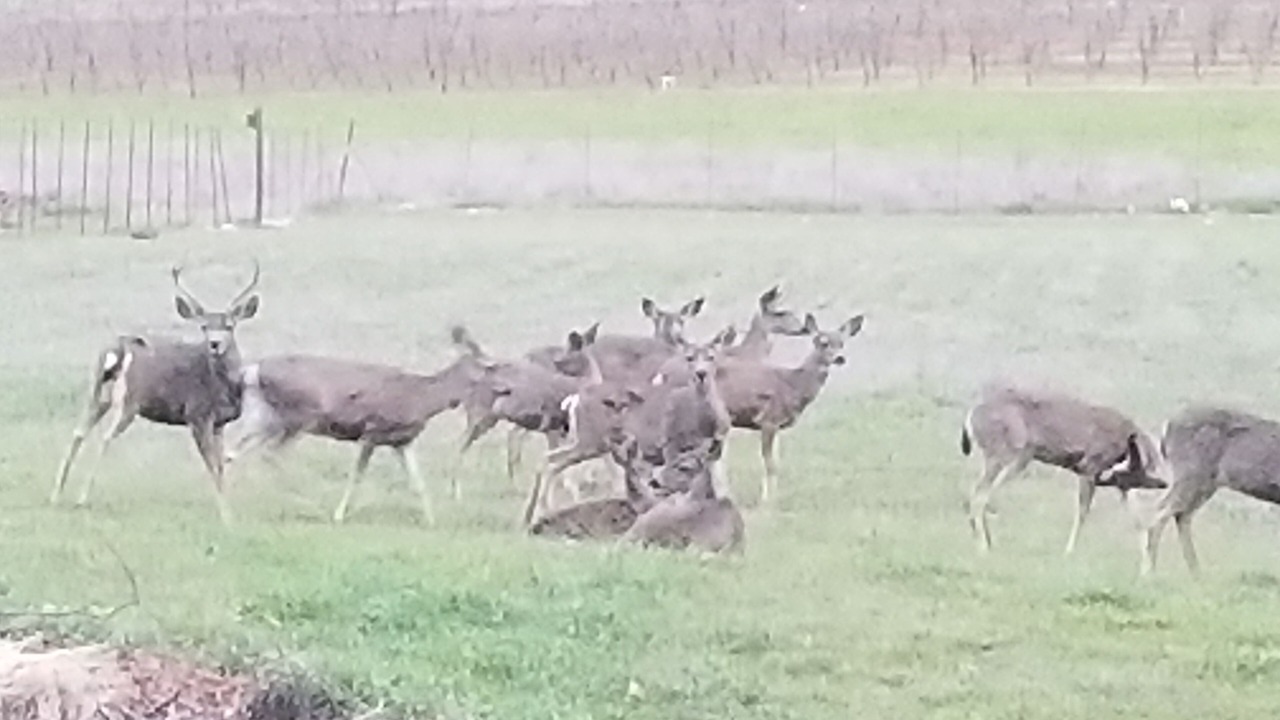 Photo of Others in Arnold