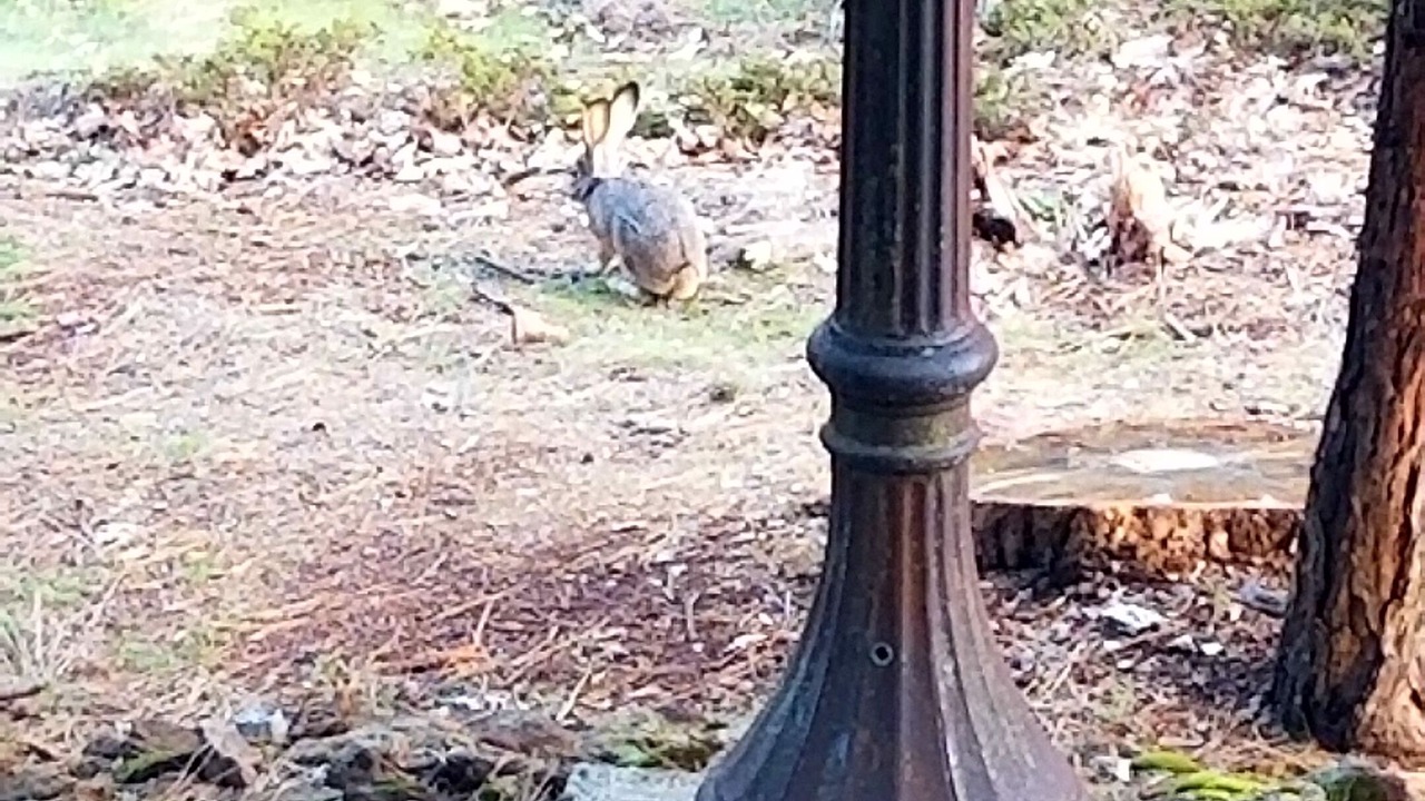 Photo of Others in Arnold