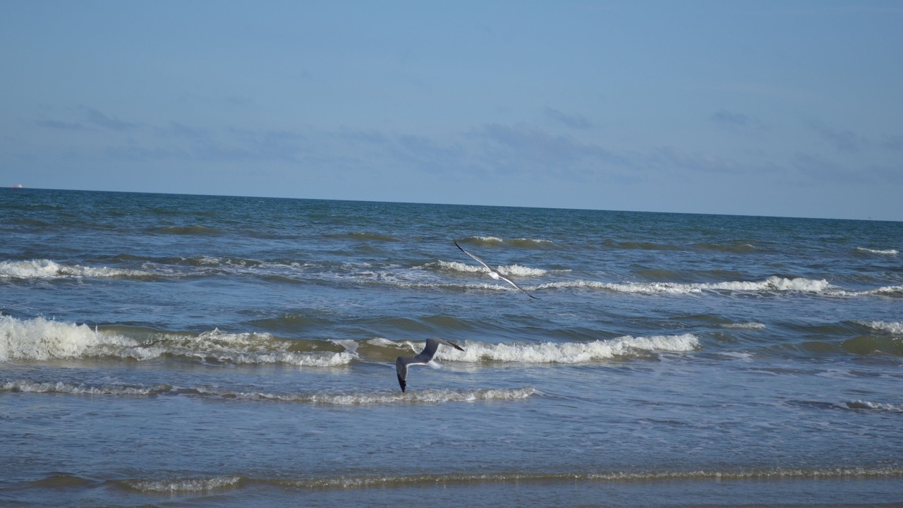 Photo of Others in Surfside Beach