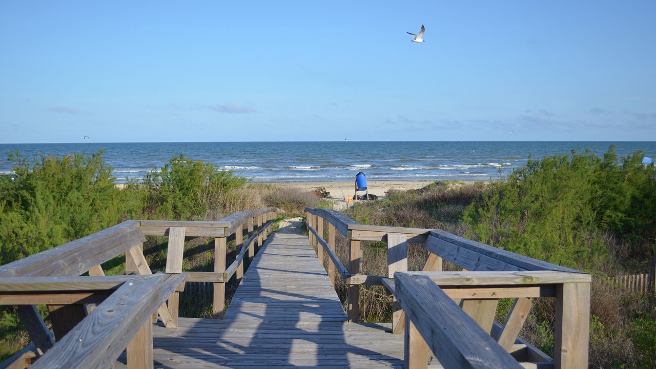 Photo of Others in Surfside Beach