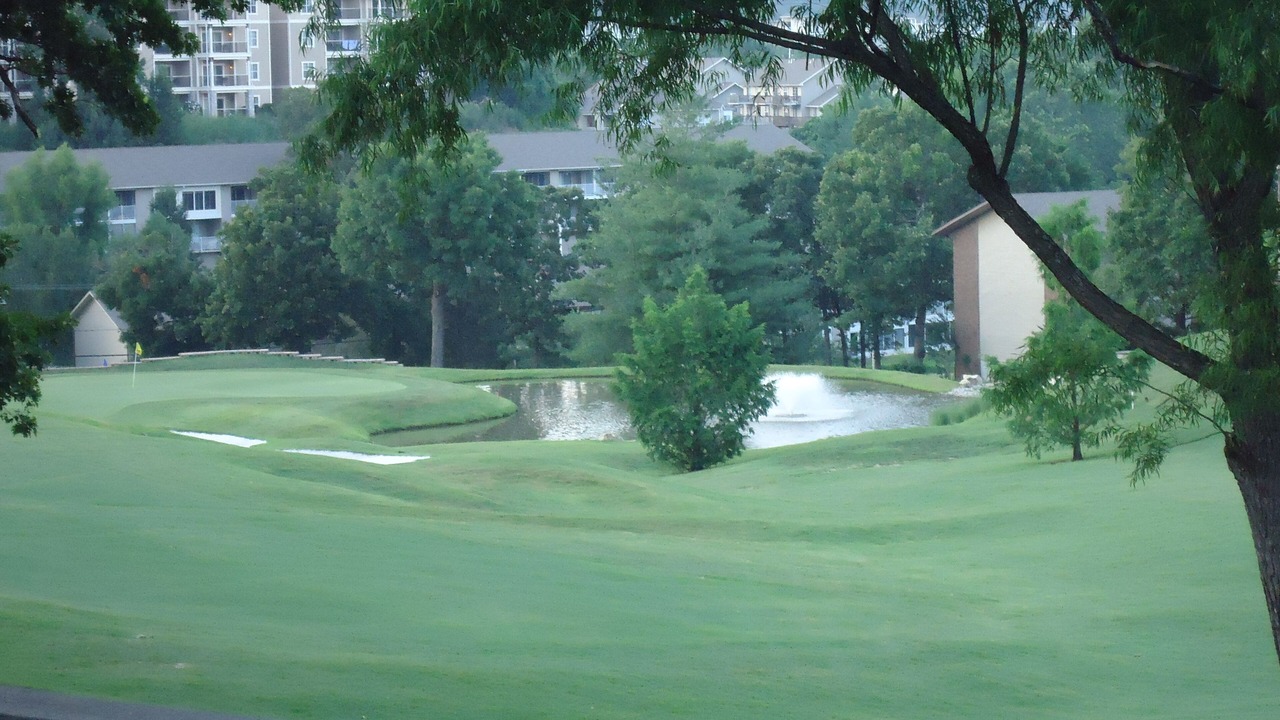 Photo of Others in Table Rock