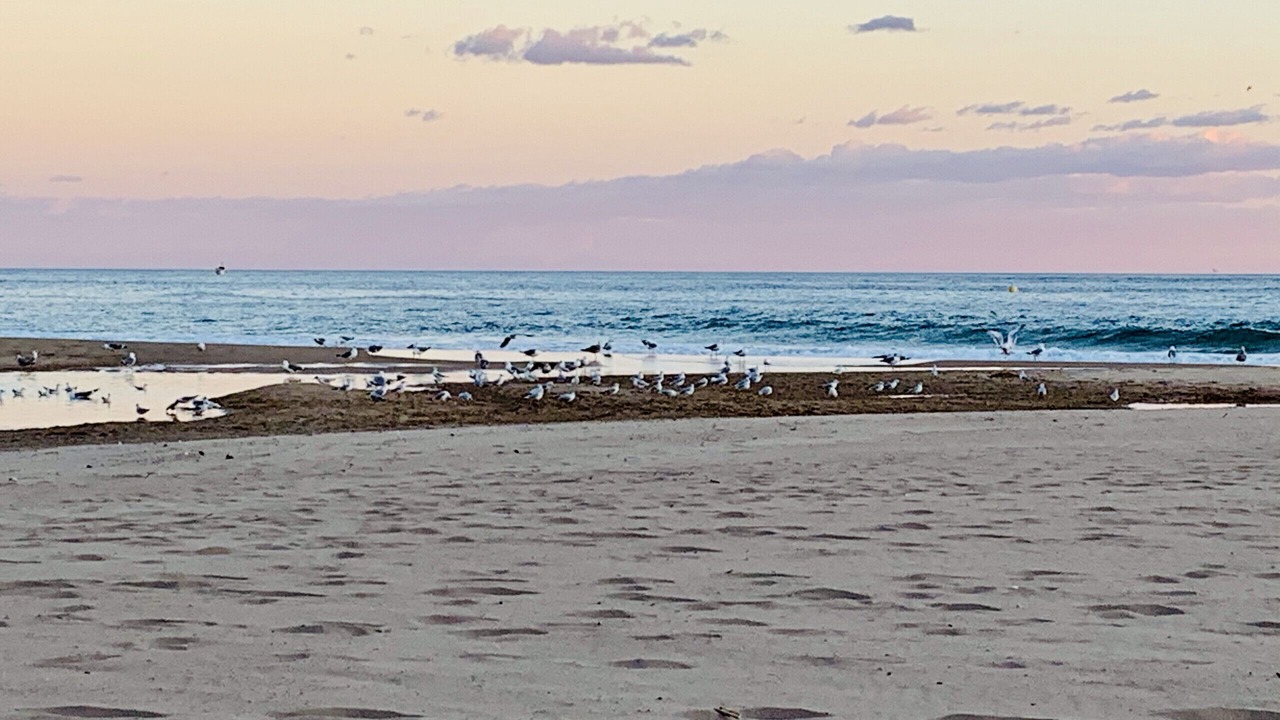 Photo of Others in Finestrat