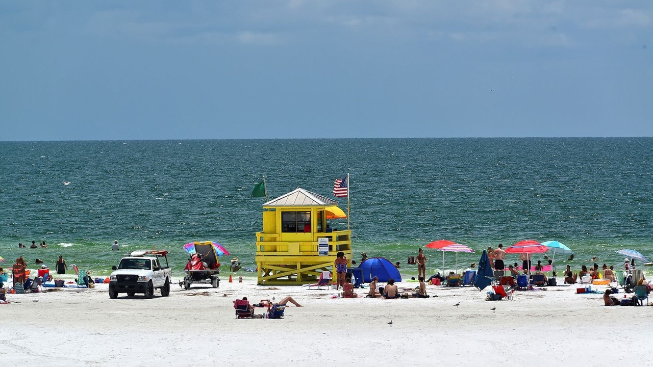 Photo of Others in Siesta Key