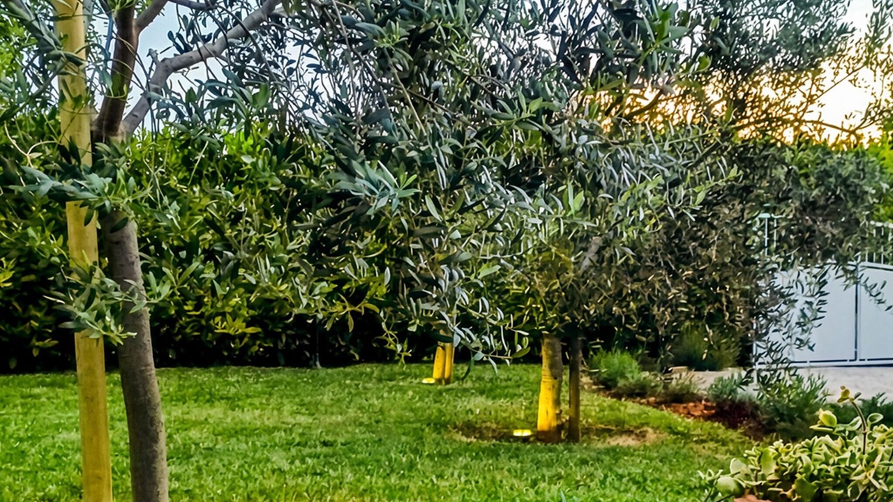 Photo of Outdoor in Liznjan