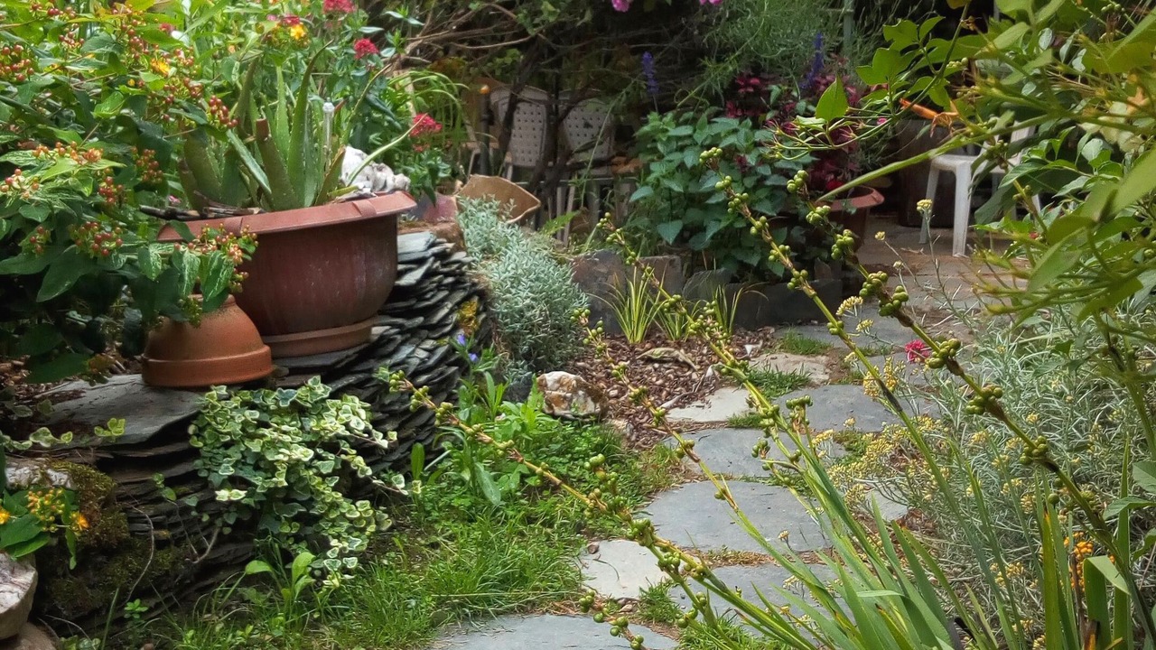 Photo of Outdoor in Villac