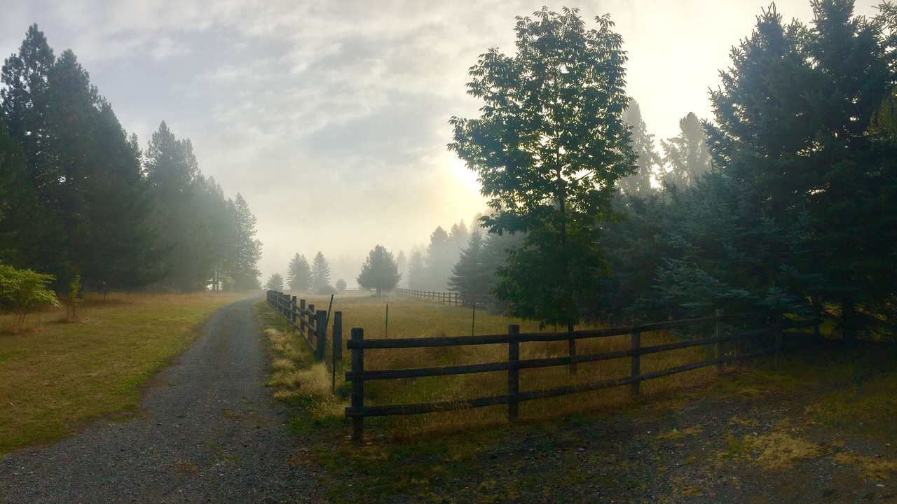 Photo of Others in Bigfork