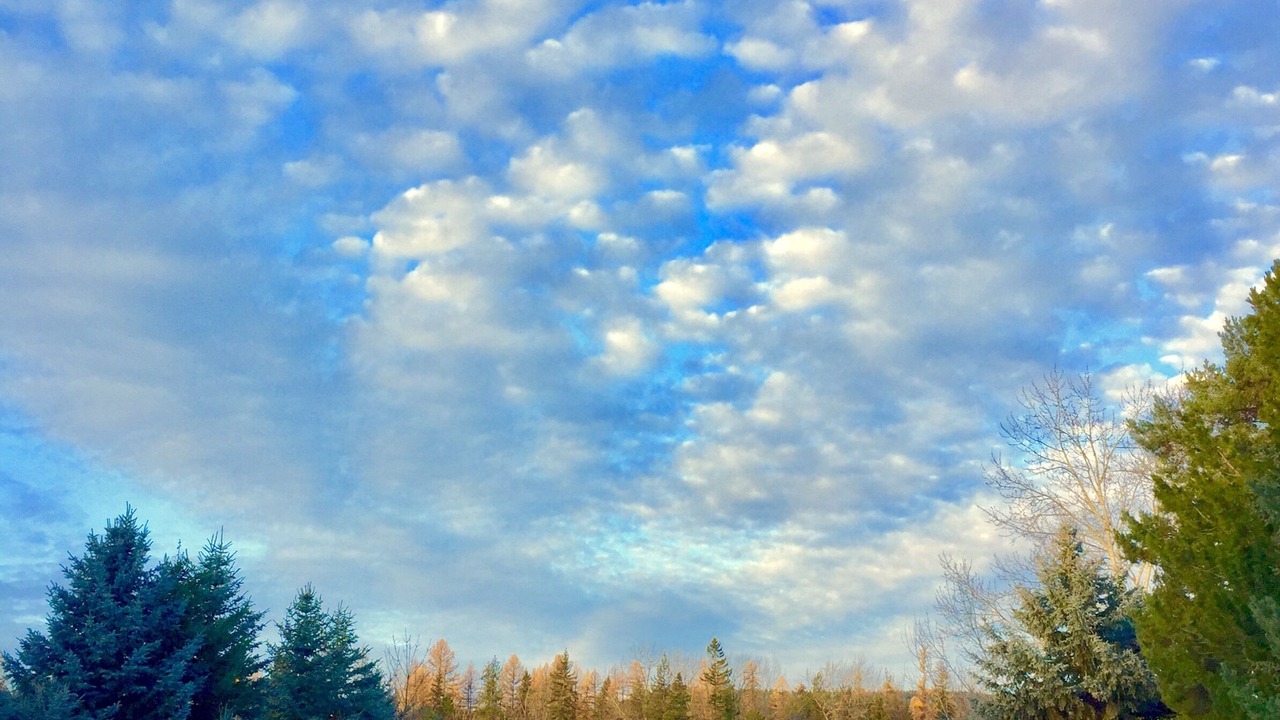 Photo of Others in Bigfork