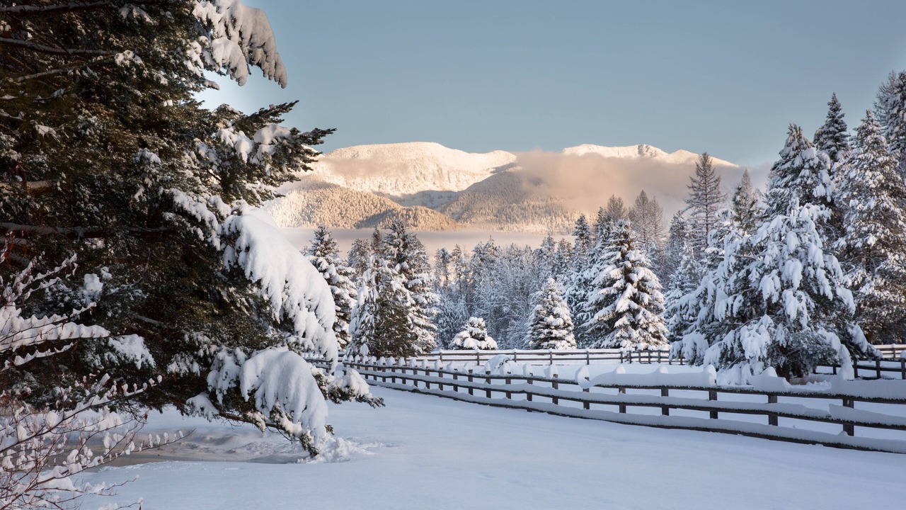 Photo of Others in Bigfork