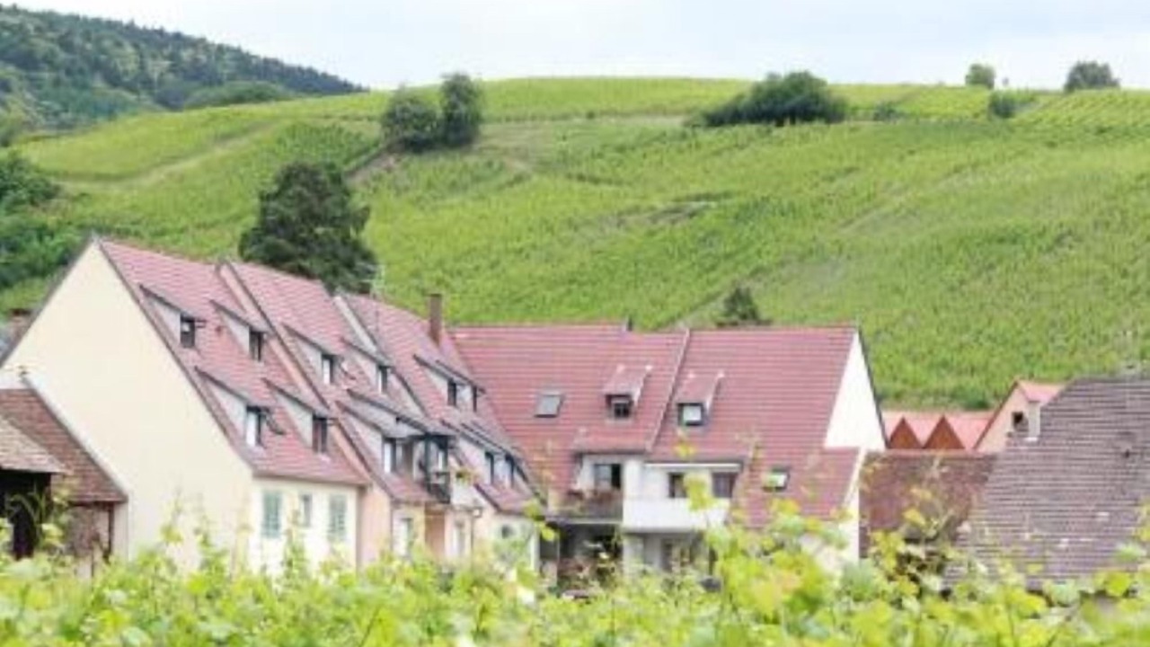 Photo of Outdoor in Riquewihr