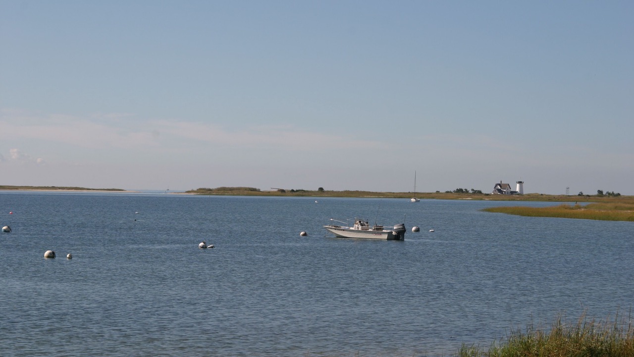 Photo of Others in Chatham