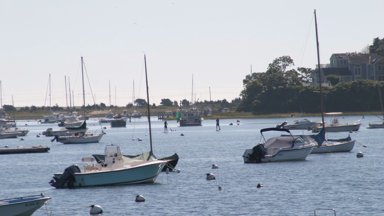 Photo of Others in Chatham