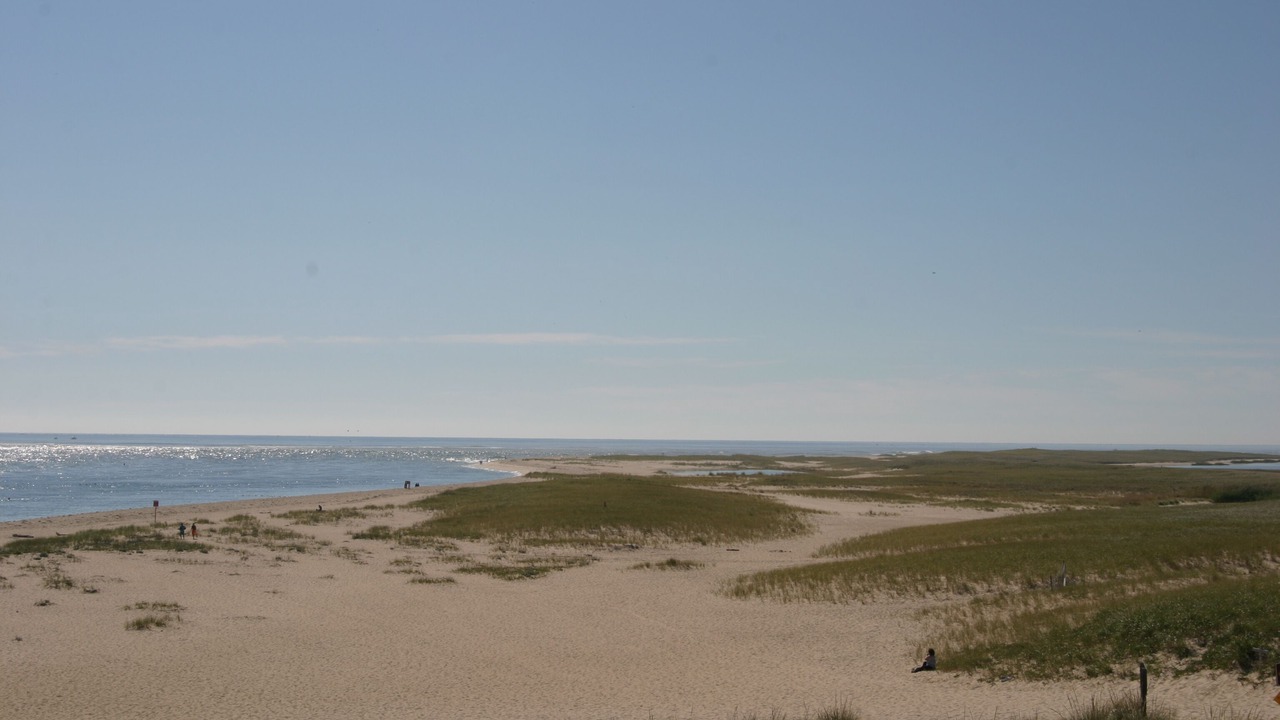 Photo of Others in Chatham