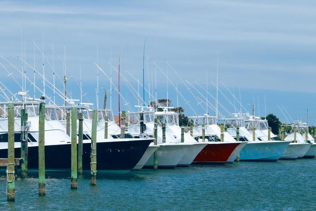 Photo of Others in South Nags Head