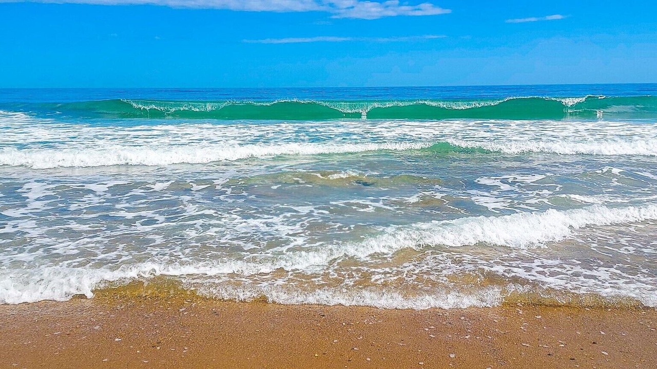 Photo of Others in South Nags Head