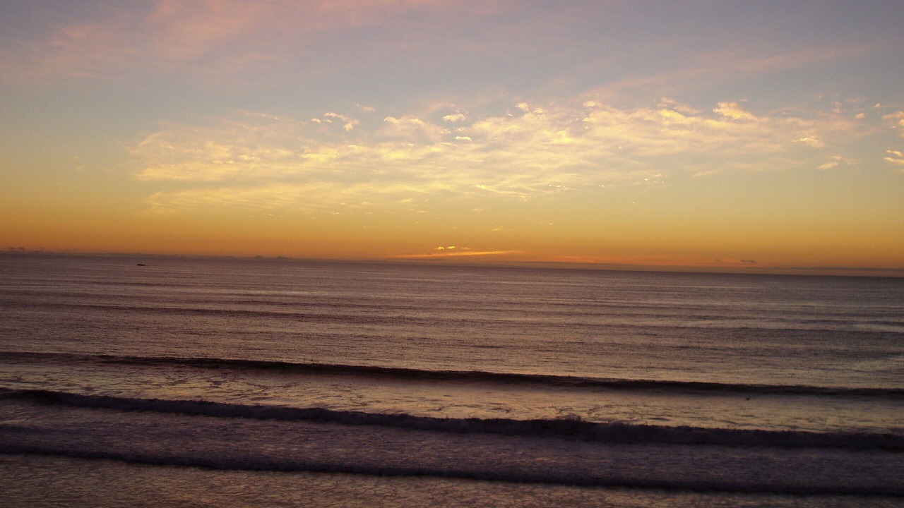 Photo of Others in North Pacific Beach