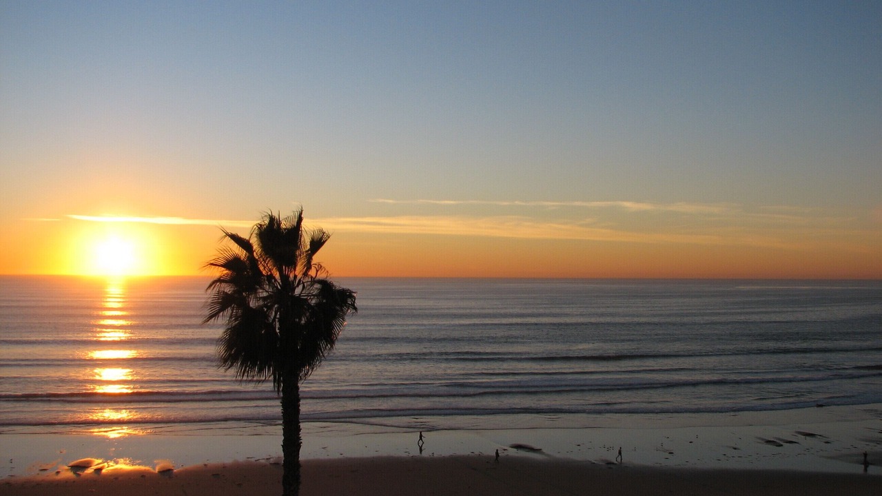 Photo of Others in North Pacific Beach
