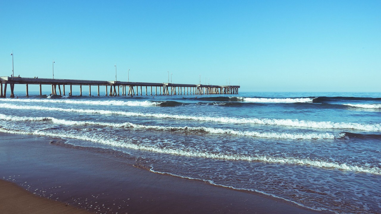 Photo of Others in North Pacific Beach
