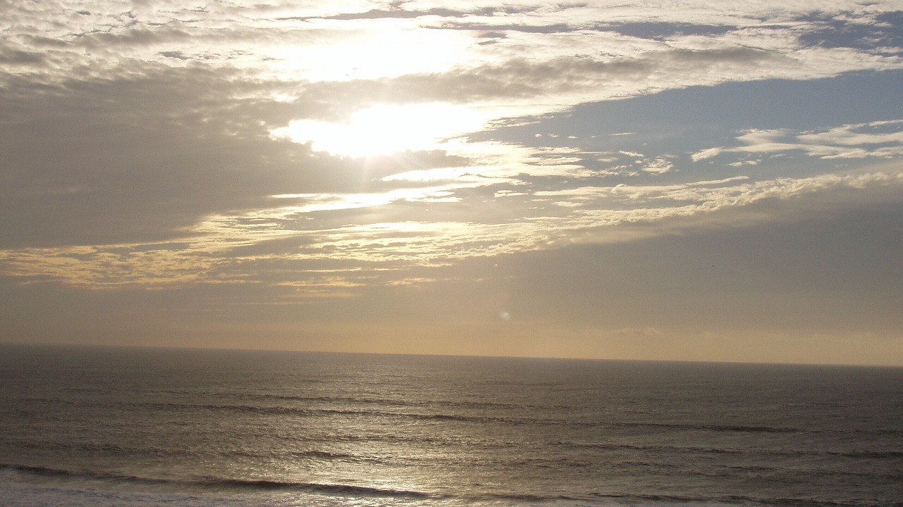 Photo of Others in North Pacific Beach