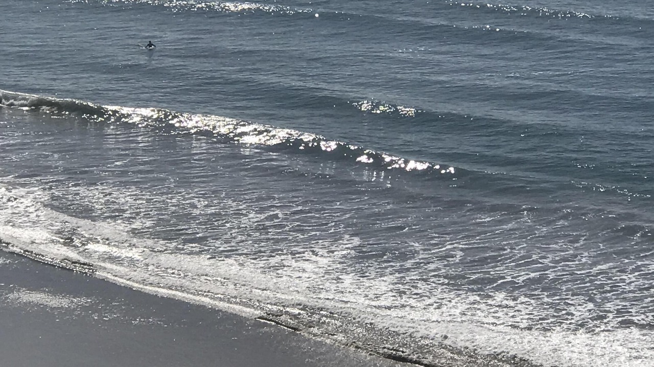 Photo of Others in North Pacific Beach