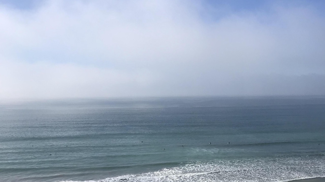 Photo of Others in North Pacific Beach