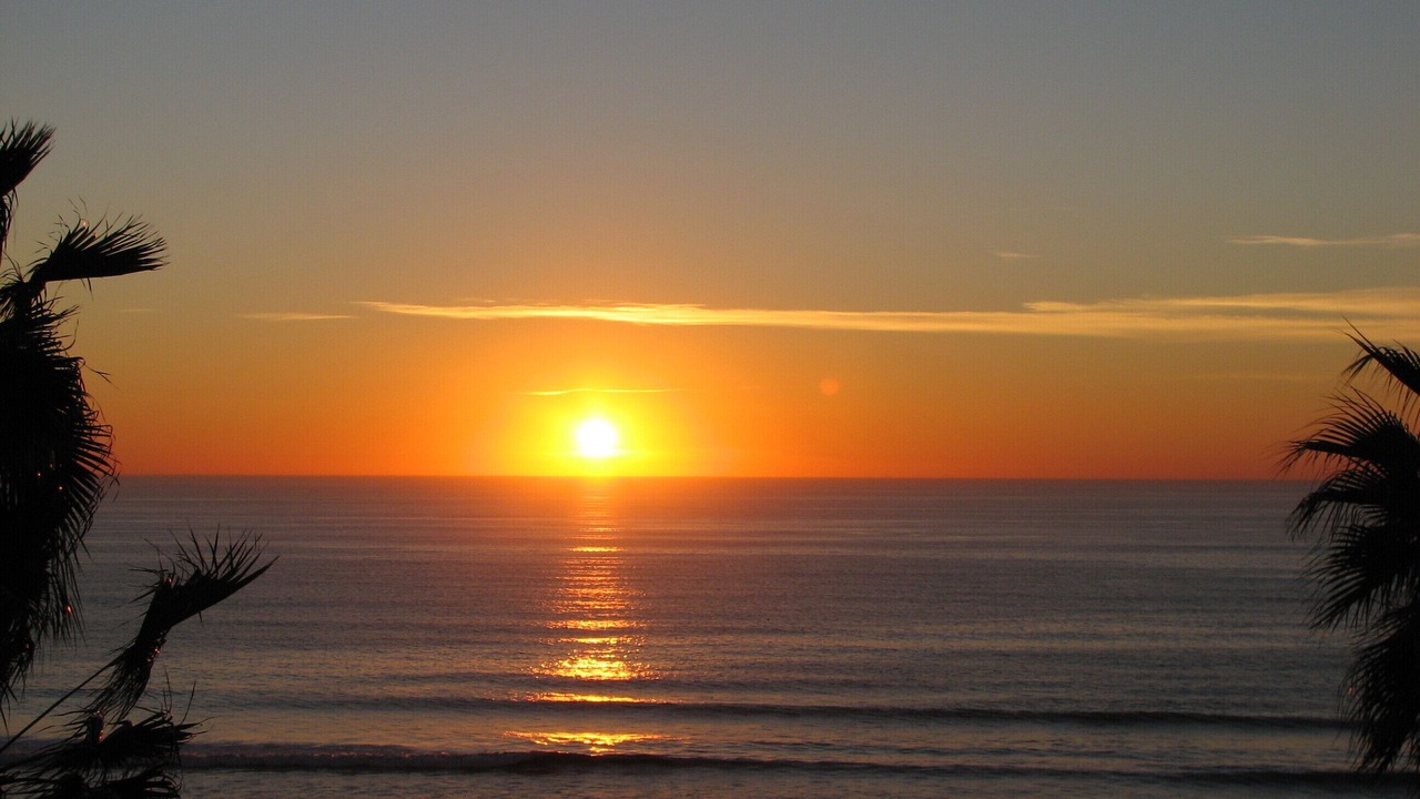 Photo of Others in North Pacific Beach