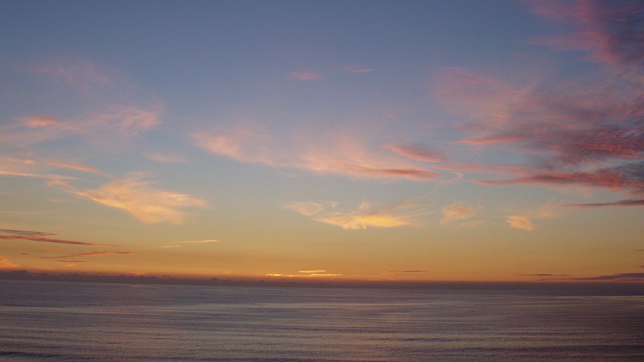 Photo of Others in North Pacific Beach
