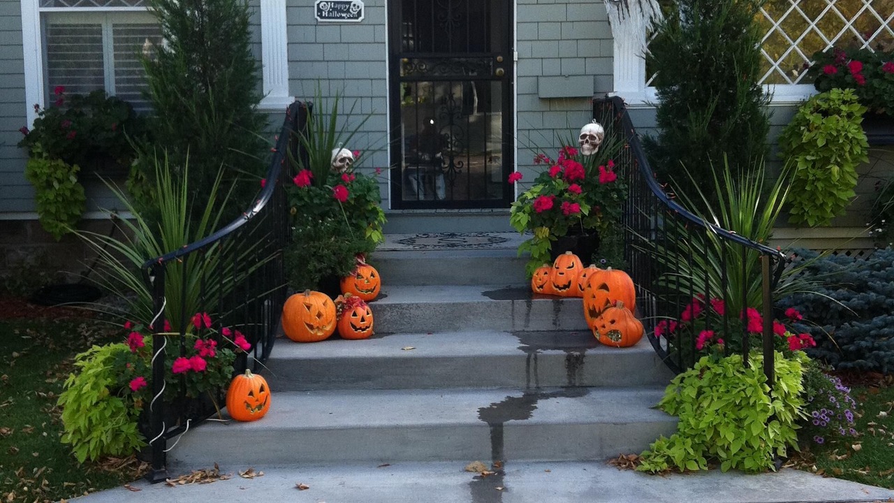 Photo of Outdoor in Old North End