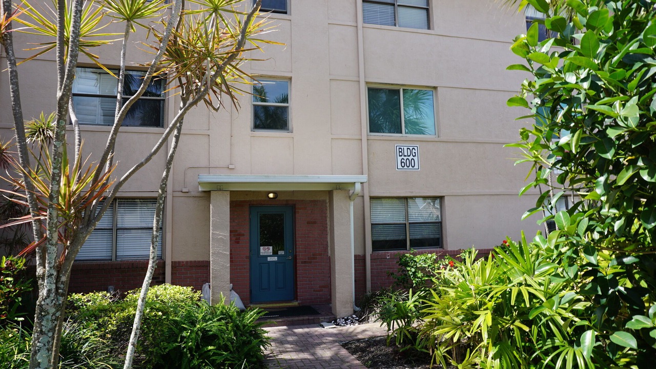 Photo of Outdoor in St. Pete Beach