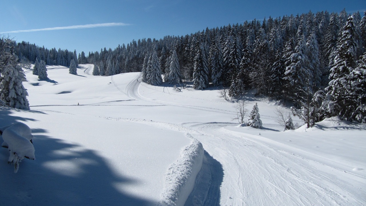 Photo of Others in Saint-Laurent-du-Pont