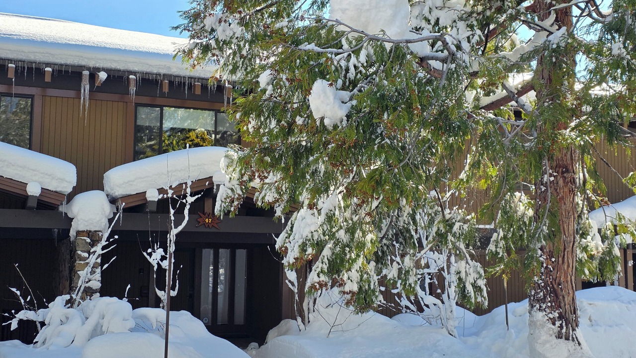 Photo of Outdoor in Tahoe City