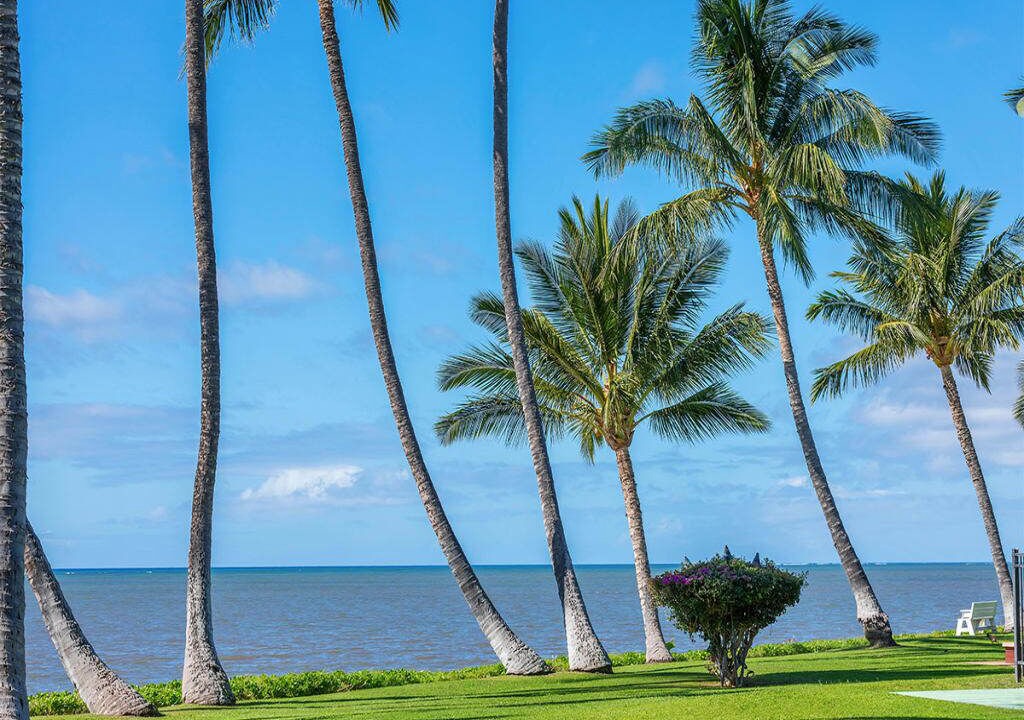 Photo of Outdoor in Kaunakakai