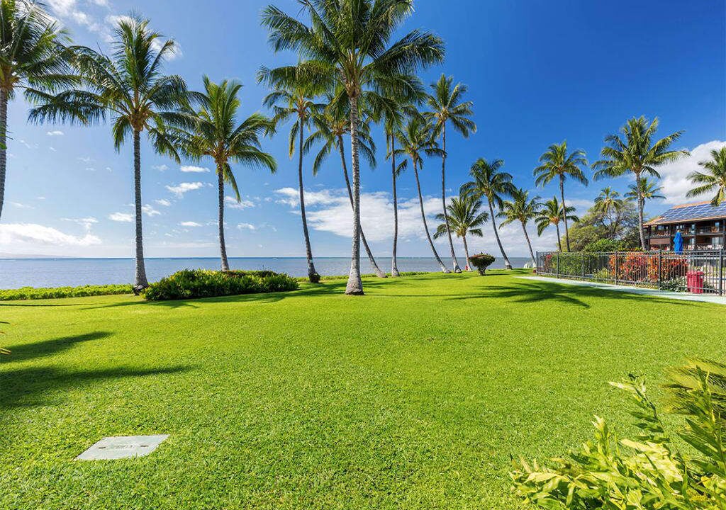 Photo of Outdoor in Kaunakakai