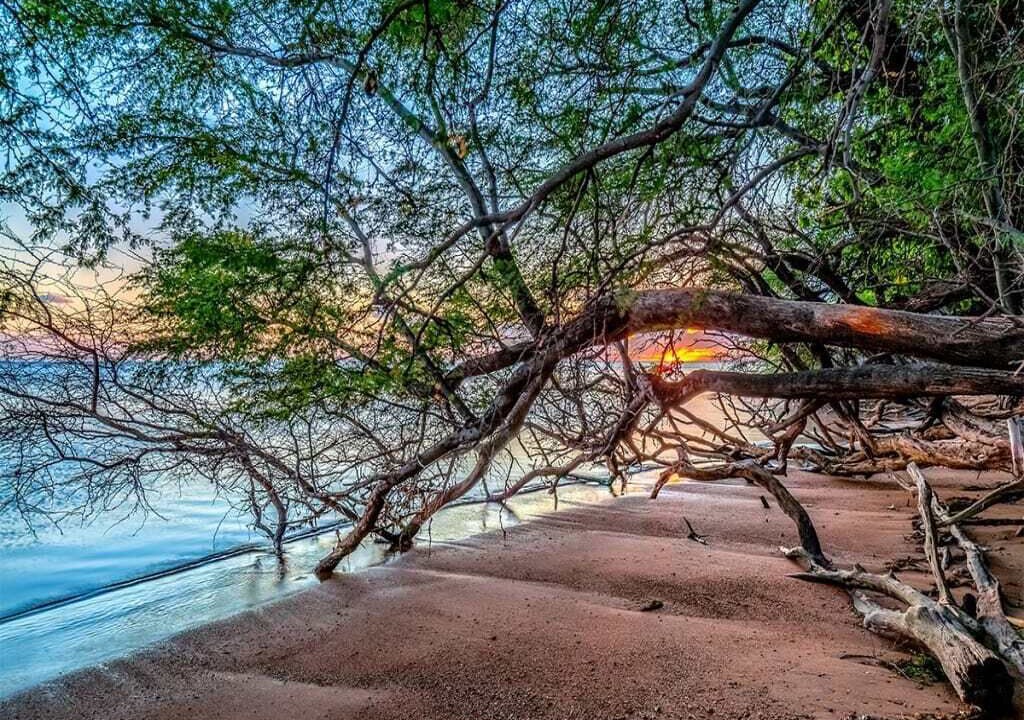 Photo of Others in Kaunakakai