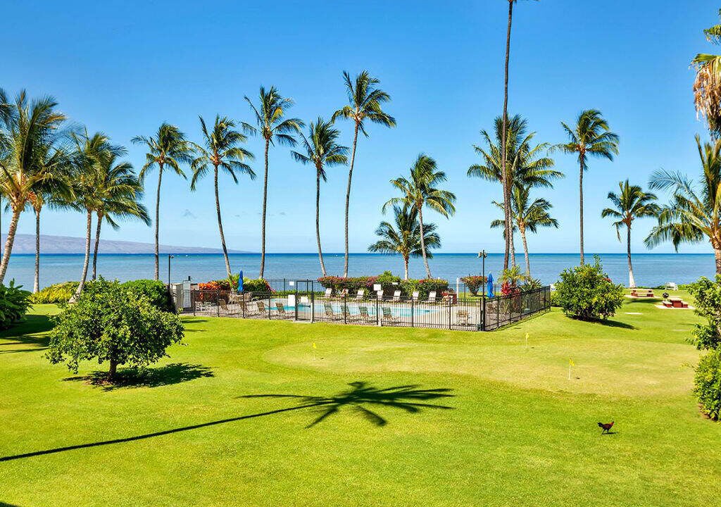 Photo of Others in Kaunakakai