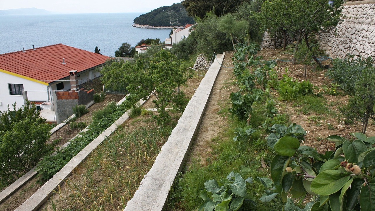 Photo of Outdoor in Drvenik