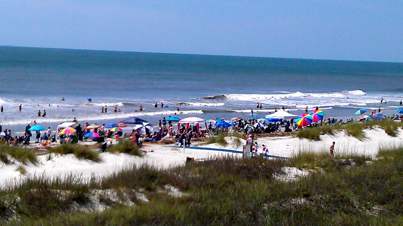 Photo of Others in Folly Field