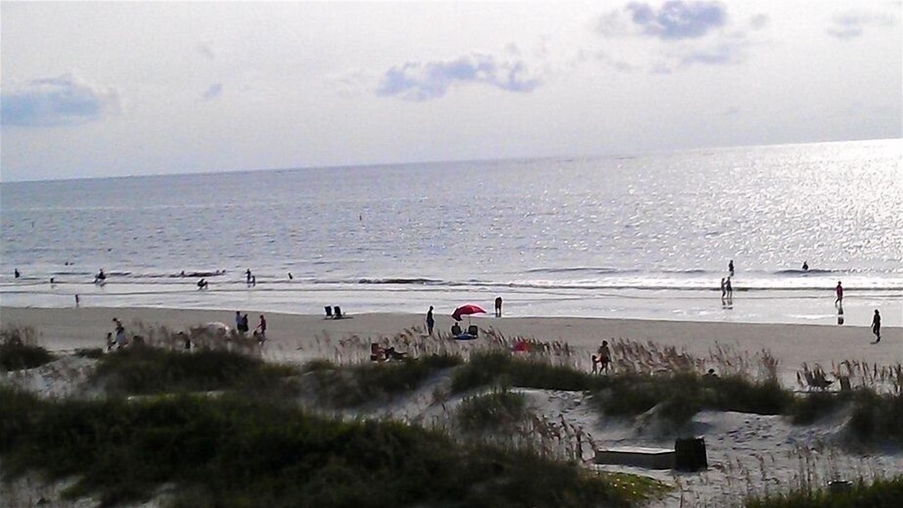 Photo of Others in Folly Field