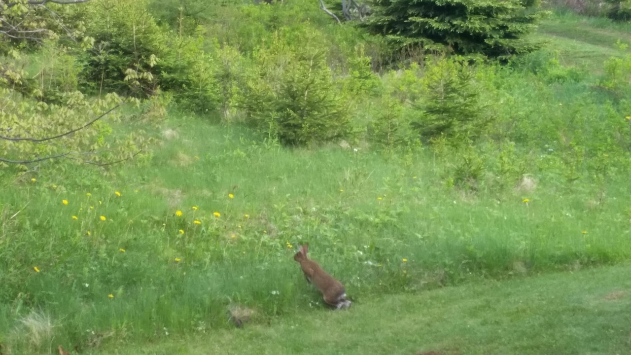 Photo of Others in Maximeville