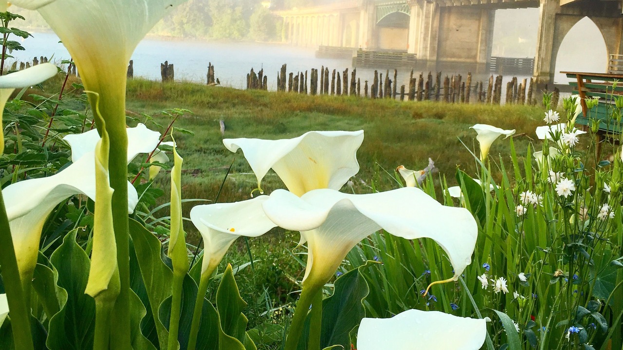 Photo of Others in Florence