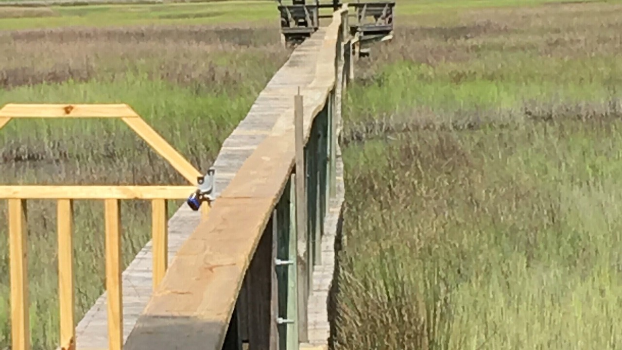 Photo of Outdoor in Litchfield by the Sea