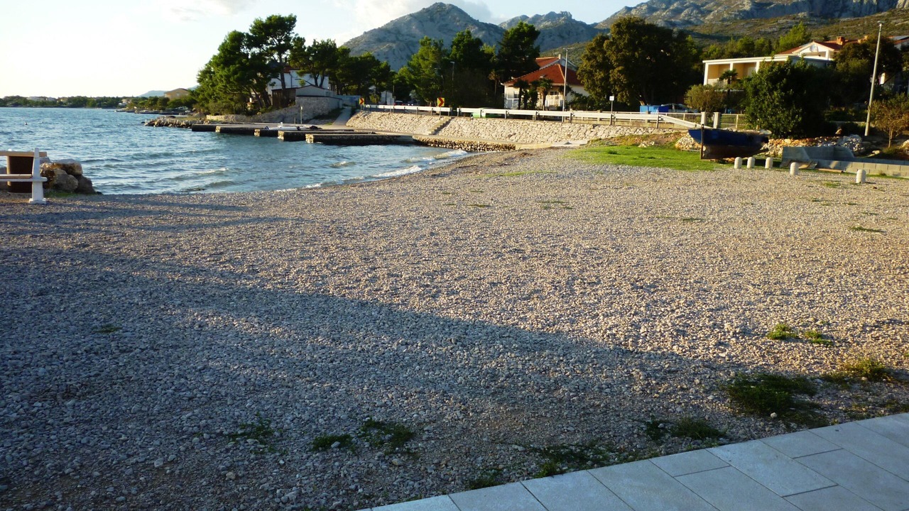 Photo of Others in Seline