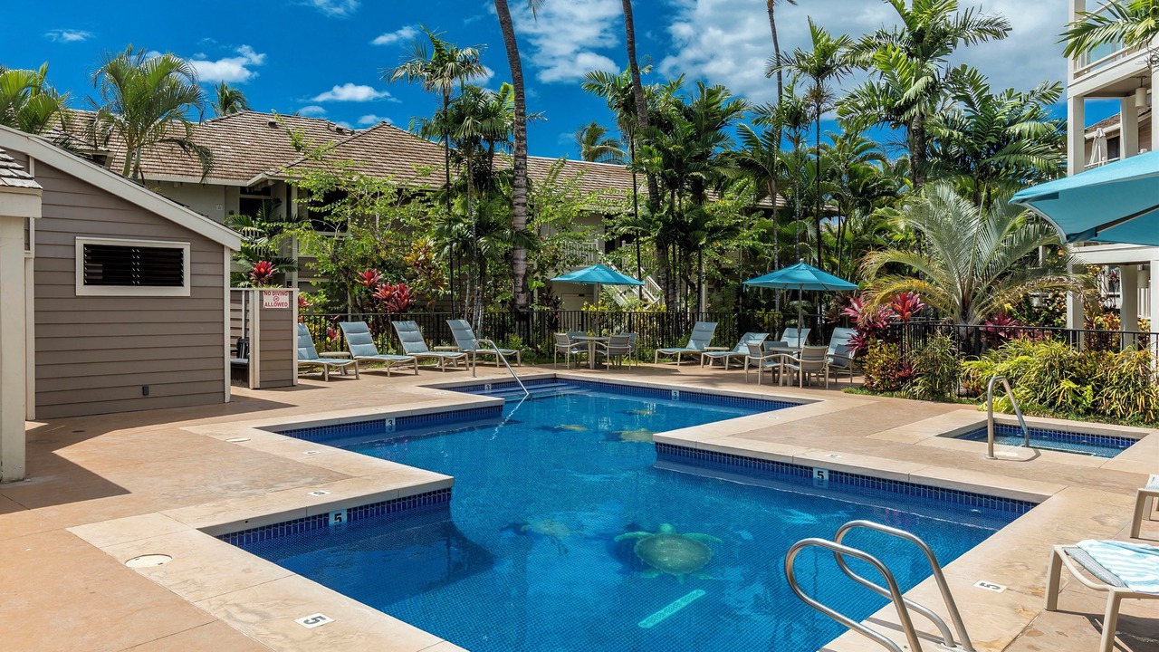 Photo of Outdoor in Wailea