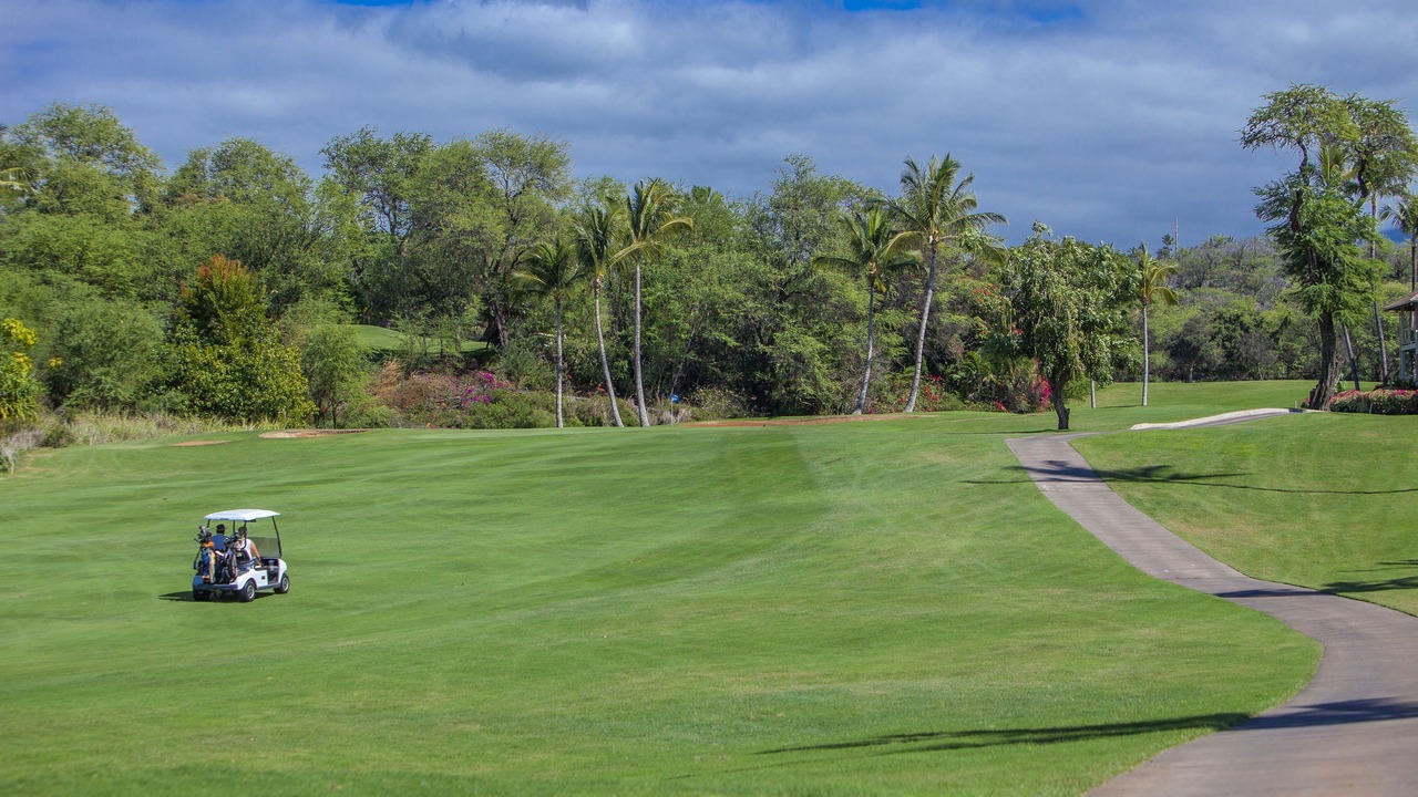 Photo of Others in Wailea