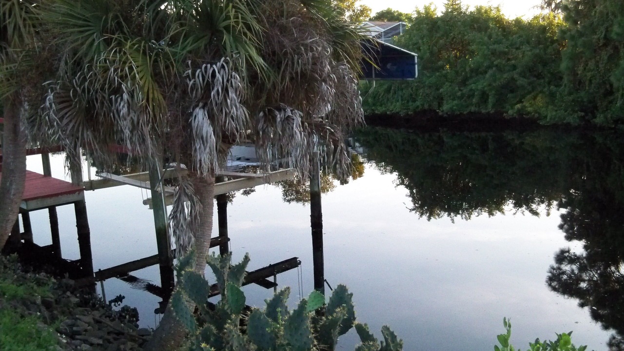 Photo of Others in Port Charlotte
