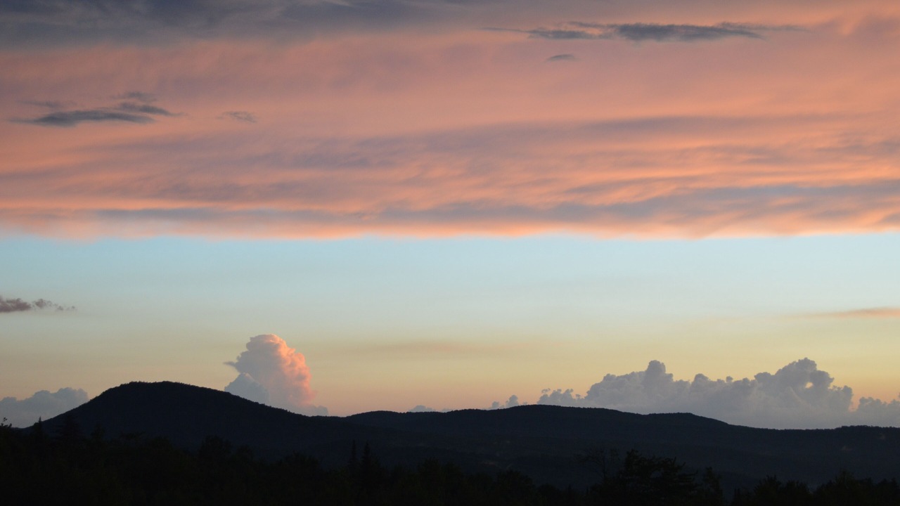 Photo of Others in Sheffield